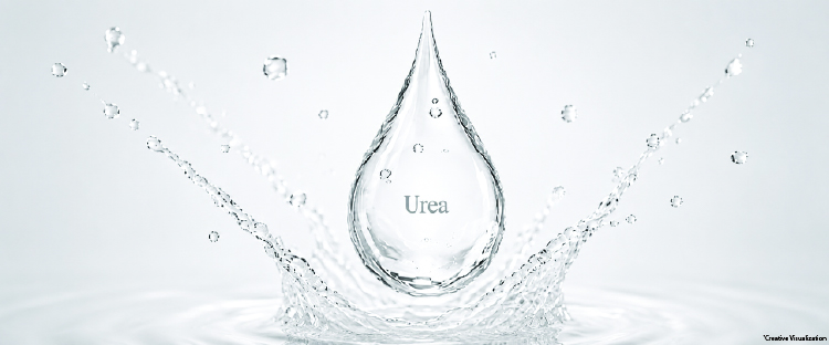 Siracilt Itch Lotion - Urea