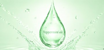 Peppermint oil-01-01